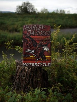 Zippo Harley-Davidson Eagle